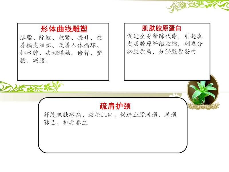 新建 Microsoft Office PowerPoint 97-2003 幻灯片.jpg